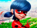Παιχνίδι Συλλογή παζλ LadyBug  σε απευθείας σύνδεση