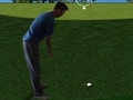 Παιχνίδι Flash Golf 3D  σε απευθείας σύνδεση