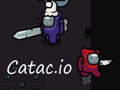 Παιχνίδι Catac. io  σε απευθείας σύνδεση