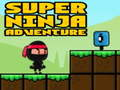 Παιχνίδι Super Adventure Ninja σε απευθείας σύνδεση