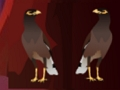Παιχνίδι Pekin Duck Escape  σε απευθείας σύνδεση