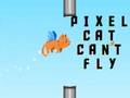 Παιχνίδι Η γάτα pixel δεν μπορεί να πετάξει σε απευθείας σύνδεση