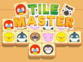 Παιχνίδι Πλακάκι Master Match  σε απευθείας σύνδεση