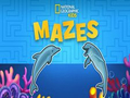 Παιχνίδι Nat Geo Kids Mazes σε απευθείας σύνδεση