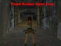 Παιχνίδι Tomb Raider Ανοίξτε τη Λάρα σε απευθείας σύνδεση