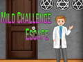 Παιχνίδι AMGEL Mild Challenge Escape σε απευθείας σύνδεση