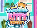 Παιχνίδι Doc Honeyberry Kitty χειρουργική επέμβαση σε απευθείας σύνδεση