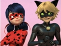 Παιχνίδι Παζλ Miraculous Ladybug & Cat Noir  σε απευθείας σύνδεση