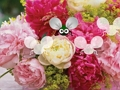 Παιχνίδι Απόδραση ταπετσαρίας Pretty Blossom  σε απευθείας σύνδεση