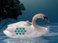 Παιχνίδι Αποθηκεύστε το παιδί της μητέρας Swan σε απευθείας σύνδεση