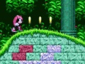 Παιχνίδι Mighty & Ray στο Sonic 2  σε απευθείας σύνδεση