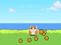Παιχνίδι Hamster Kombat Clicker σε απευθείας σύνδεση