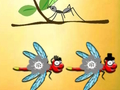 Παιχνίδι Βρείτε το Dragonfly Cooper  σε απευθείας σύνδεση