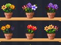 Παιχνίδι Καλό Flower Master  σε απευθείας σύνδεση