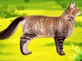 Παιχνίδι Cat Pet Doctor Οδοντίατρος  σε απευθείας σύνδεση