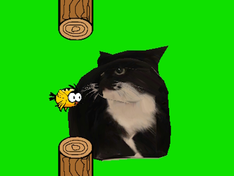 Παιχνίδι Flappy Bird Spinning OIA OIA CAT σε απευθείας σύνδεση