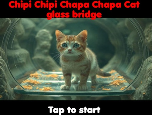 Παιχνίδι Chipi Chipi Chapa Chapa Cat Glass Bridge σε απευθείας σύνδεση