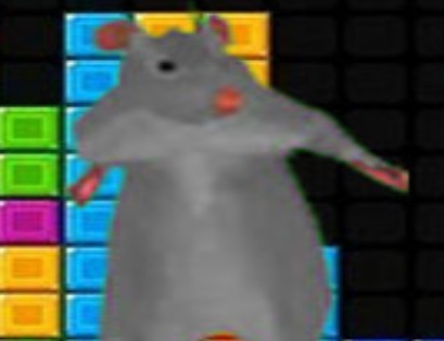 Παιχνίδι Ratomilton πτώση μπλοκ  σε απευθείας σύνδεση