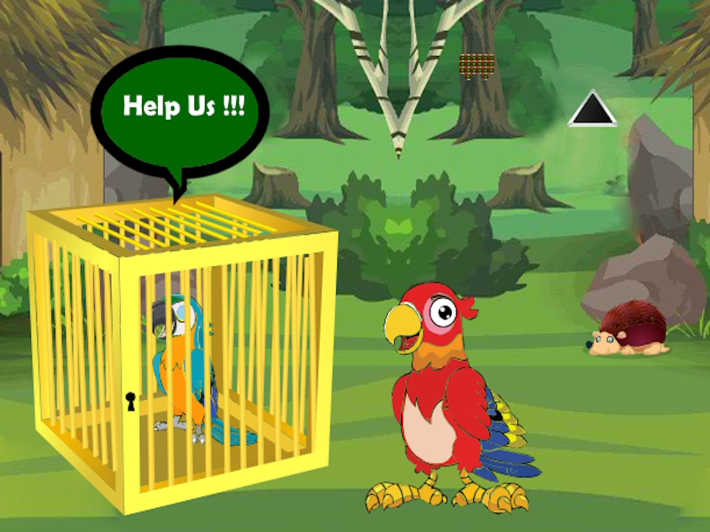Παιχνίδι Απελευθερώστε παγιδευμένη φίλη Macaw σε απευθείας σύνδεση