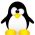 Penguins online
