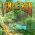 Temple run  online